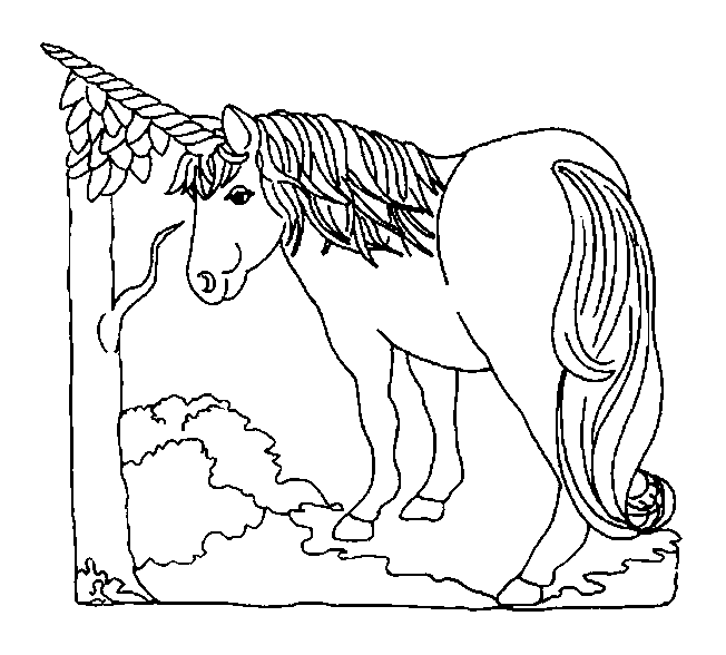 coloriage licorne dans les bois